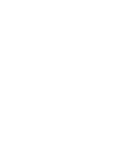 Vehicle Replacement Policy